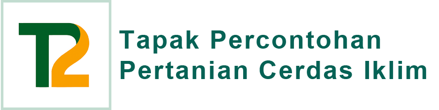 TP2CI