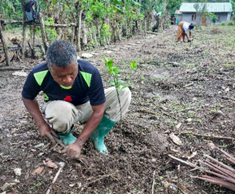 Perubahan dalam hidup sangat membutuhkan waktu yang pajang baik dalam pola pikir maupun dalam perilaku setiap hari. Petani jaman dulu sampai sekarang banyak yang bertani secara tradisional karna terbawa dari sistem bertani yang terpola dengan kebiasaan jaman dulu (nenek moyang). Terutama petani di NTT khususnya di Kabupaten Timor Tengan Selatan masih banyak yang bertani secara tradisional dengan menggunakan alat-alat yang sederhana.