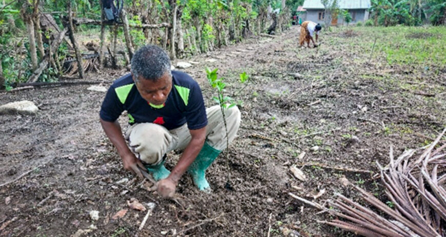 Perubahan dalam hidup sangat membutuhkan waktu yang pajang baik dalam pola pikir maupun dalam perilaku setiap hari. Petani jaman dulu sampai sekarang banyak yang bertani secara tradisional karna terbawa dari sistem bertani yang terpola dengan kebiasaan jaman dulu (nenek moyang). Terutama petani di NTT khususnya di Kabupaten Timor Tengan Selatan masih banyak yang bertani secara tradisional dengan menggunakan alat-alat yang sederhana.