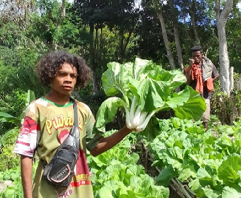 Program Land4Lives yang ada di desa Falas, dapat memicu petani yang selama ini Bertani hanya fokus pada tanaman semusim, yaitu pada saat musim hujan saja para petani baru bisa menanam jagung, ubi dan pisang. Tetapi dengan adanya program pengembangan kebun dapur, para petani punya inisiatif untuk bertani dengan menanam berbagai jenis tanaman hortikultura dikebun dengan memanfaatkan lahan yang ada dengan ketersediaan air yang pada saat musim kemarau sangat-sangat terbatas.