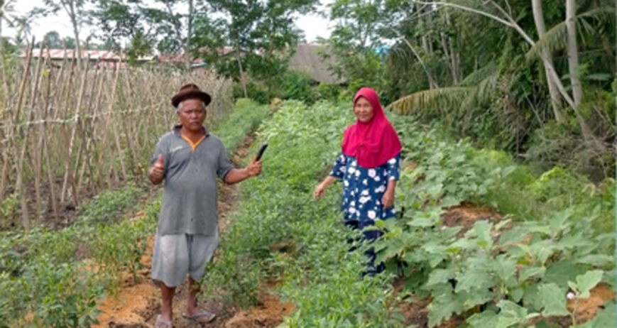 Bu Darmiasih (57 tahun), merupakan salah satu anggota kelompok belajar Daya Murni Bersatu. Beliau bergabung dalam kegiatan Land4Lives sejak tahun 2022. Pada awal bergabung, beliau memiliki tekad untuk belajar mengenai praktik pertanian yang cerdas iklim. Bagi beliau, pertanian berkelanjutan merupakan hal fundamental yang penting untuk menjaga keseimbangan ekosistem.