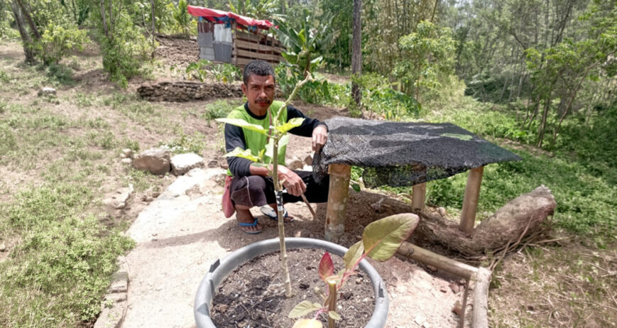 Di tengah tantangan perubahan iklim, serangan hama, dan umur tanaman terong hibrida yang relatif pendek, Bapak Fredik Baitanu dari Desa Netpala menemukan sebuah inovasi sederhana yang memberikan hasil luar biasa. Melalui teknik sambung pucuk antara terong budidaya dan terong hutan, ia berhasil menghasilkan tanaman terong yang lebih kuat, tahan lama, dan memiliki nilai ekonomi yang lebih tinggi.