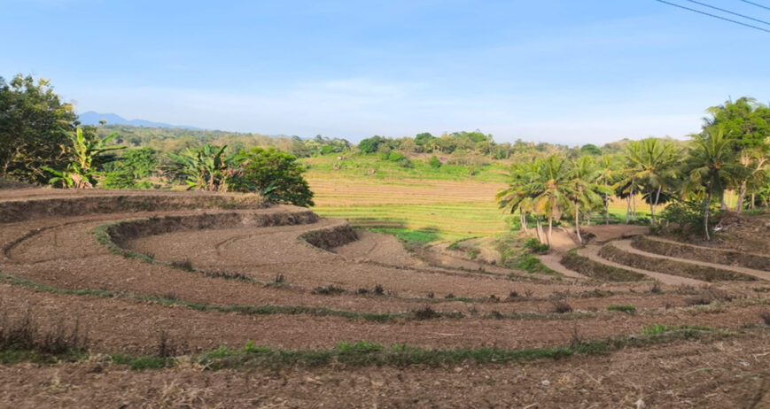 Di Desa Massila, Kecamatan Patimpeng, Kabupaten Bone, bentang lahan perbukitan dan pegunungan menjadi panorama yang terlihat setiap harinya. Sebagain besar masyrakat Desa Massila menggantungkan penghidupannya dari lahan untuk bertani dan berkebun. Selain bertani, sebagian warganya juga memelihara ternak seperti sapi, kerbau dan kambing.