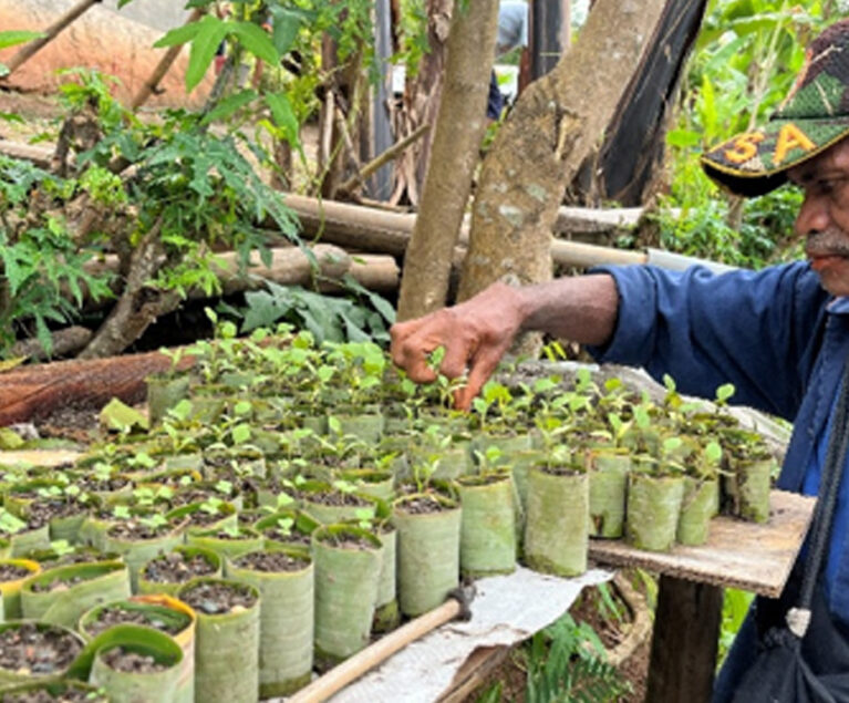 Belajar Sambung Terong Hutan, Langsung Diterapkan di Kebun Sendiri