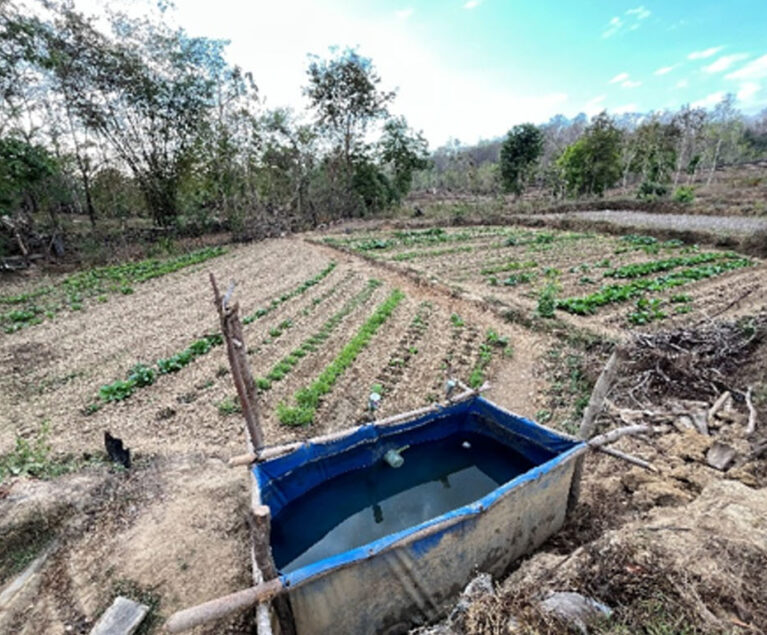 Bagi Bapak Wellem Oematan dan kelompoknya di Desa Taneotob, lahan pertanian tidak seharusnya dibiarkan menganggur setelah panen padi selesai. Mereka percaya bahwa setiap musim selalu menghadirkan peluang untuk tetap berproduksi. Berangkat dari pemikiran tersebut, mereka mulai memanfaatkan lahan sawah setelah musim panen padi untuk menanam berbagai jenis sayuran yang dapat tumbuh pada musim kemarau.