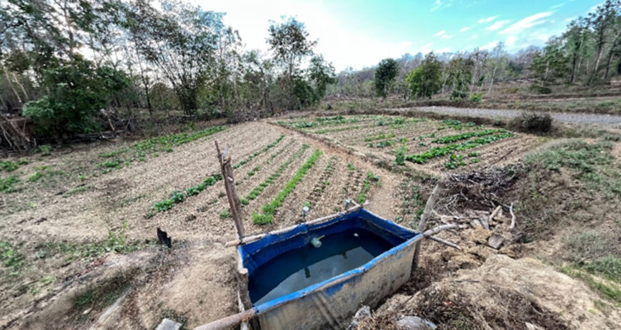 Bagi Bapak Wellem Oematan dan kelompoknya di Desa Taneotob, lahan pertanian tidak seharusnya dibiarkan menganggur setelah panen padi selesai. Mereka percaya bahwa setiap musim selalu menghadirkan peluang untuk tetap berproduksi. Berangkat dari pemikiran tersebut, mereka mulai memanfaatkan lahan sawah setelah musim panen padi untuk menanam berbagai jenis sayuran yang dapat tumbuh pada musim kemarau.