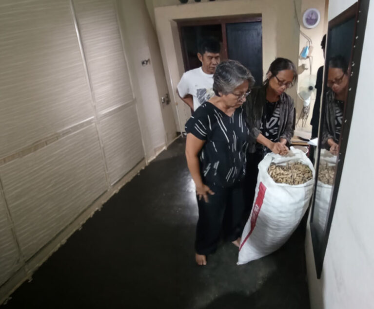 Varietas kacang tanah lurik atau kacang tanah loreng dan kacang tanah lokal sudah lama dibudidayakan oleh petani di Desa Nunbena, bahkan wilayah Mollo bagian barat Kabupaten Timor Tengah Selatan. Hampir setiap kepala keluarga menanam komoditi kacang tanah. Sistem budidayanya ditumpangsarikan dengan tanaman jagung, ubi kayu, dan tanaman lainnya di awal musim hujan.