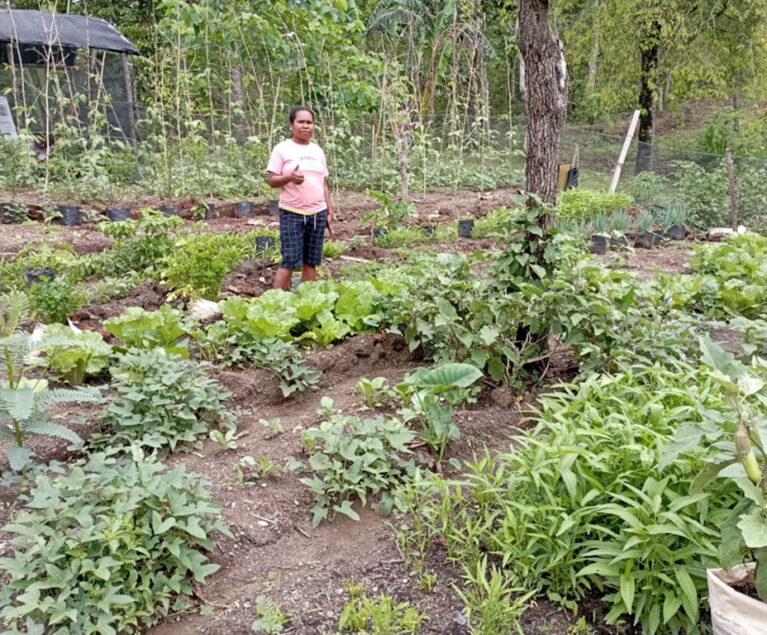 Bagi Mama Medi Oematan dan anggota kelompoknya, kebun dapur bukan sekadar tempat menanam sayuran. Kebun tersebut telah menjadi ruang belajar, berbagi pengalaman, dan bekerja bersama untuk mencapai tujuan yang sama, yaitu meningkatkan ketahanan pangan dan menambah pendapatan keluarga. Melalui semangat kebersamaan, mereka membuktikan bahwa lahan sederhana dapat memberikan manfaat yang besar ketika dikelola secara gotong royong.
