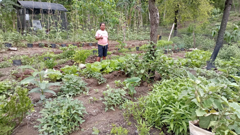 Kebun dapur yang sudah tumbuh besar dan ada yang siap untuk di panen kelompok, (Sumber : Romadhona Hartiyadi)
