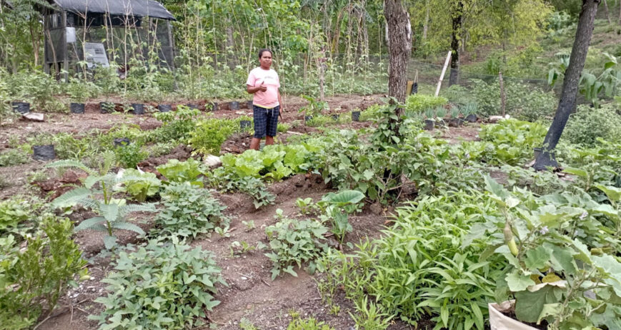 Bagi Mama Medi Oematan dan anggota kelompoknya, kebun dapur bukan sekadar tempat menanam sayuran. Kebun tersebut telah menjadi ruang belajar, berbagi pengalaman, dan bekerja bersama untuk mencapai tujuan yang sama, yaitu meningkatkan ketahanan pangan dan menambah pendapatan keluarga. Melalui semangat kebersamaan, mereka membuktikan bahwa lahan sederhana dapat memberikan manfaat yang besar ketika dikelola secara gotong royong.