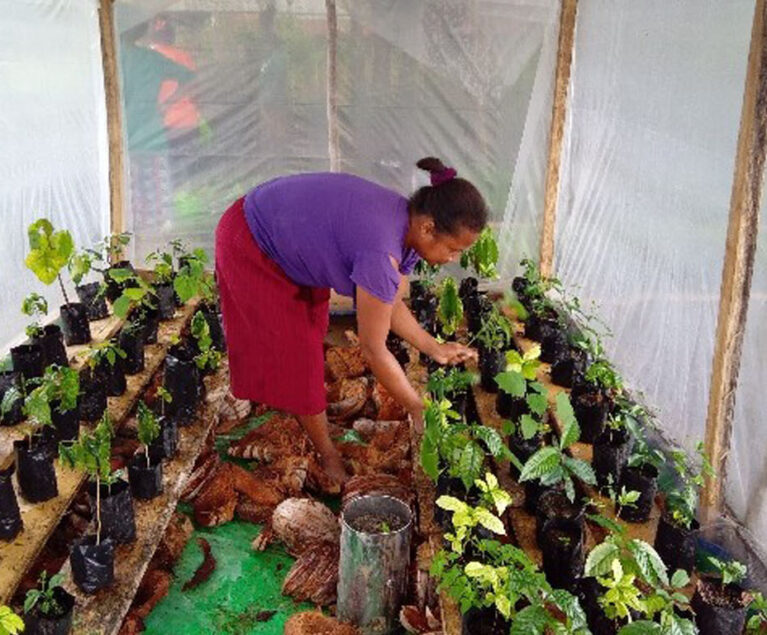 Di tengah musim kemarau ekstrem yang melanda Kabupaten Timor Tengah Selatan (TTS), masyarakat menghadapi tantangan besar dalam menjaga keberlangsungan pertanian. Curah hujan yang tidak menentu dan musim kering yang semakin panjang menyebabkan lahan pertanian mengering dan retak.