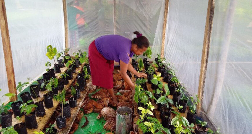 Di tengah musim kemarau ekstrem yang melanda Kabupaten Timor Tengah Selatan (TTS), masyarakat menghadapi tantangan besar dalam menjaga keberlangsungan pertanian. Curah hujan yang tidak menentu dan musim kering yang semakin panjang menyebabkan lahan pertanian mengering dan retak.