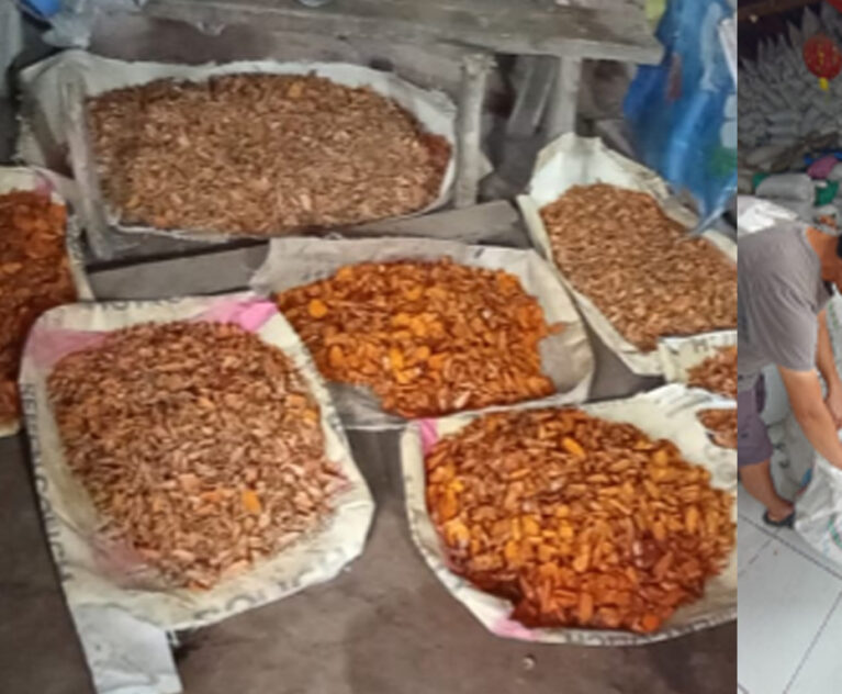 Masyarakat di Desa Lelobatan, Kecamatan Mollo Utara, Kabupaten Timor Tengah Selatan umumnya menjual kunyit dalam bentuk basah/mentah ke pedagang pengumpul di desa dan di pasar kecamatan. Harga jual per karung kemasan 40 kilogram berkisar antara Rp.35.000-45.000 per karung.