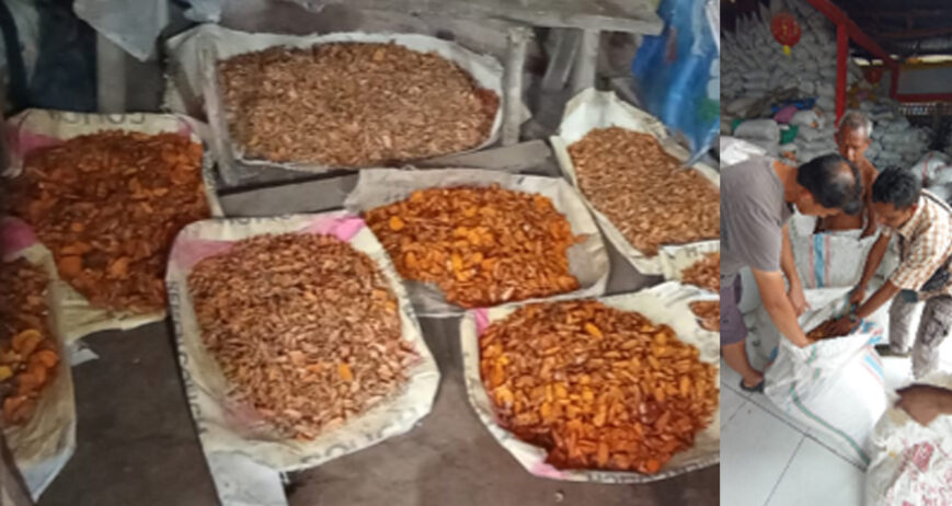 Masyarakat di Desa Lelobatan, Kecamatan Mollo Utara, Kabupaten Timor Tengah Selatan umumnya menjual kunyit dalam bentuk basah/mentah ke pedagang pengumpul di desa dan di pasar kecamatan. Harga jual per karung kemasan 40 kilogram berkisar antara Rp.35.000-45.000 per karung.