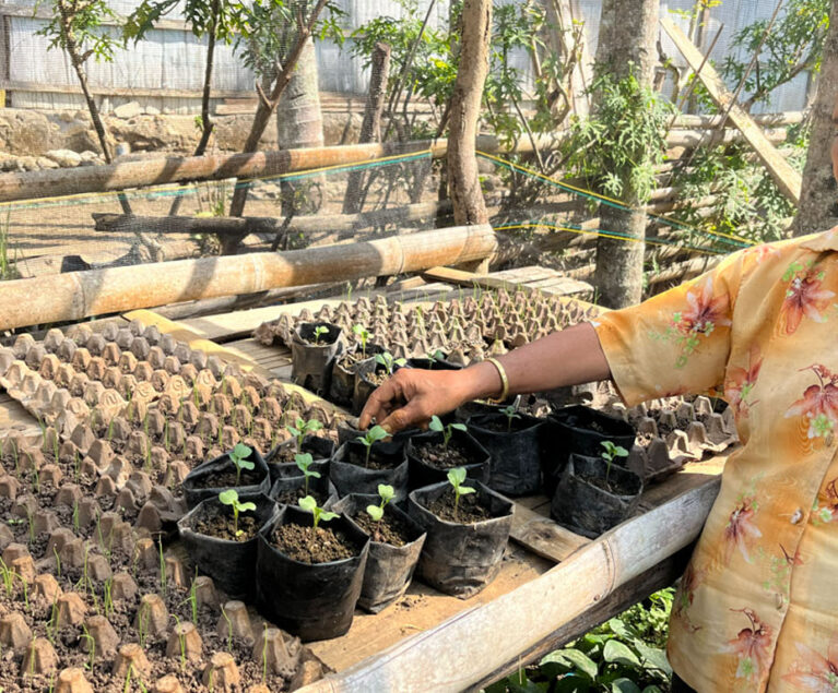 Bagi Mama Aksamina, Mama Vice, dan Mama Orance, kebun dapur bukan sekadar tempat menanam sayuran. Kebun yang mereka kelola bersama telah menjadi sumber pangan keluarga sekaligus sumber pendapatan tambahan yang memberikan manfaat nyata bagi kehidupan sehari-hari. Dengan semangat gotong royong dan ketekunan yang tinggi, mereka membuktikan bahwa pekarangan yang dikelola dengan baik dapat menghasilkan manfaat yang besar.