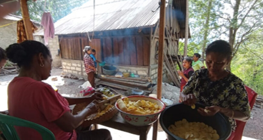 Di Desa Oekam, Kecamatan Noebeba, Kabupaten Timor Tengah Selatan, umumnya pisang dijual dalam bentuk mentah. Kondisi ini berbeda setelah Mama Oktofia Timaubas menjadi anggota kelompok usaha dan mengikuti pelatihan tentang pembuatan keripik pisang dan singkong sejak tahun 2024 lalu.